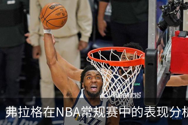弗拉格在NBA常规赛中的表现分析