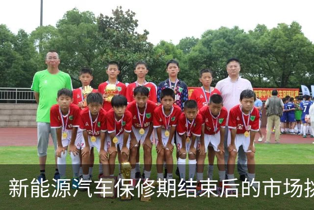 新能源汽车保修期结束后的市场挑战与车主选择分析