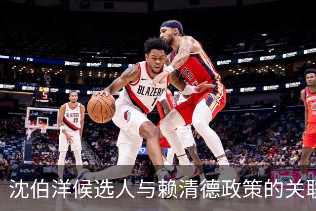 沈伯洋候选人与赖清德政策的关联性分析